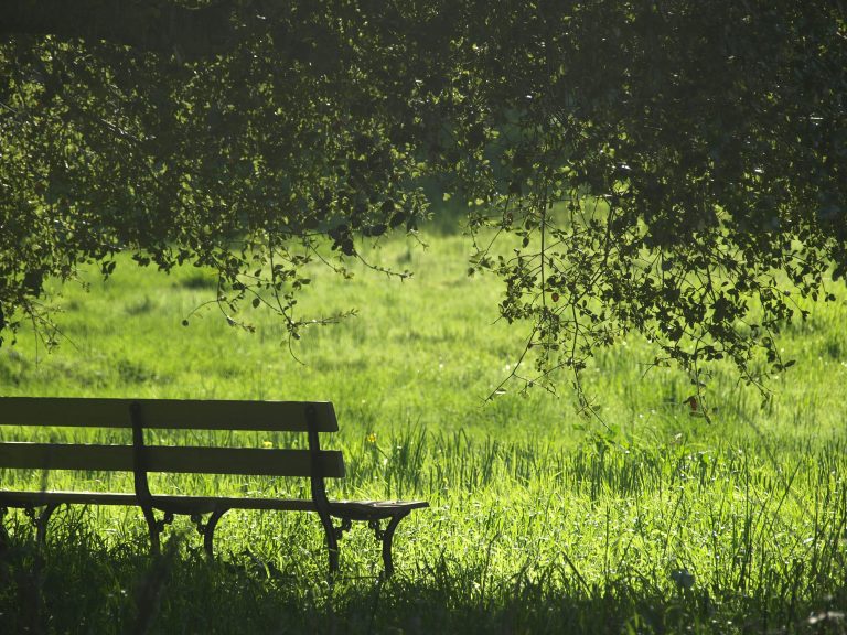 The Academic Sabbatical, Then & Now