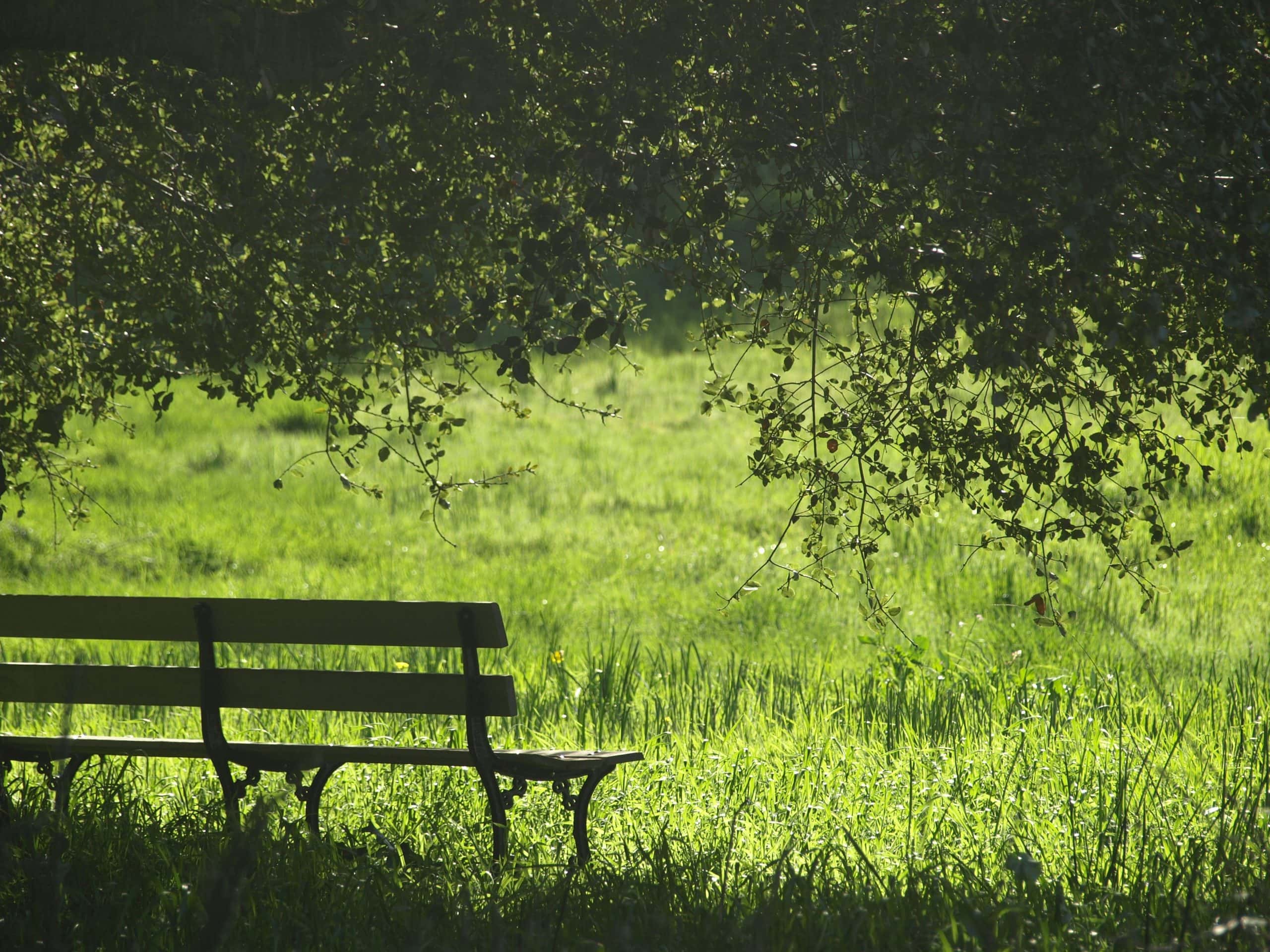 The Academic Sabbatical, Then & Now